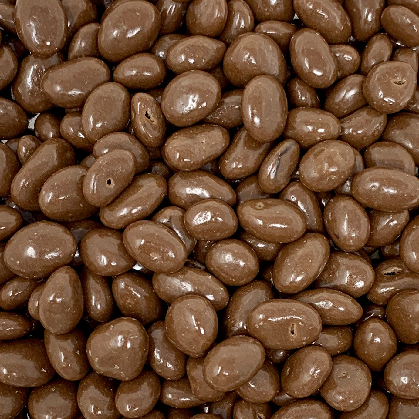 Chocolate Raisins