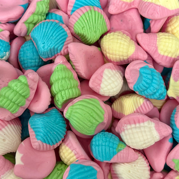 Sea Shells – The Gourmet Sweet Company