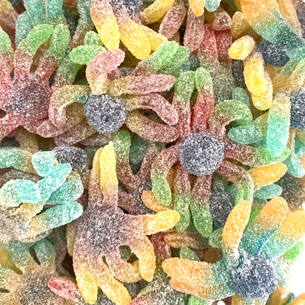 Trolli Sour Octopus – The Gourmet Sweet Company
