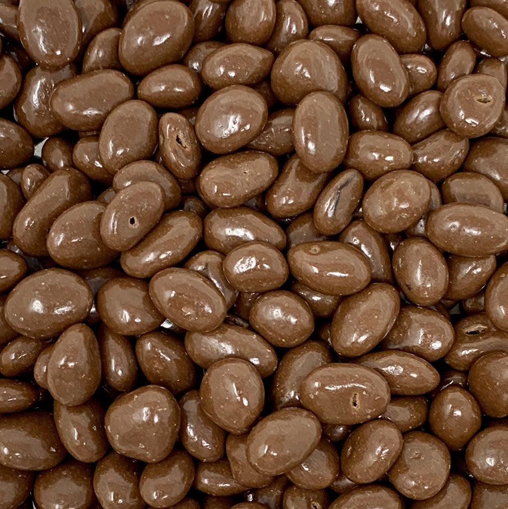 Shoco Raisins Chocolate Raisins – The Gourmet Sweet Company