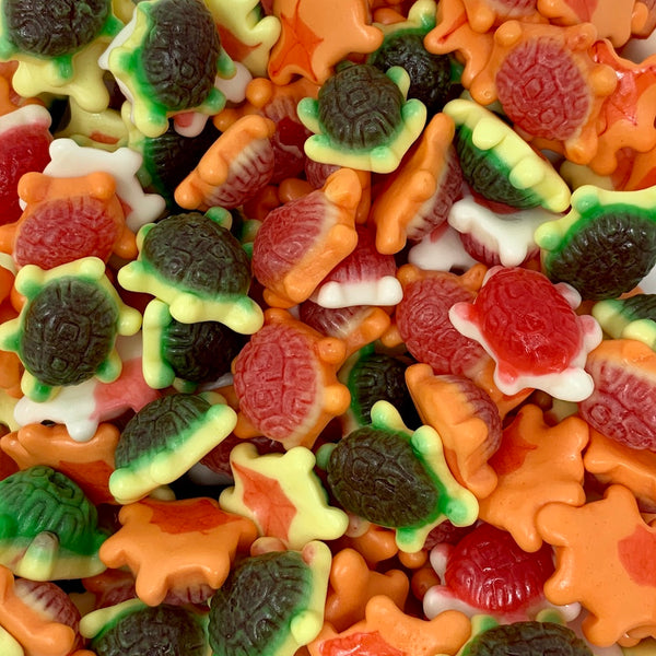 Jelly Filled Turtles – The Gourmet Sweet Company